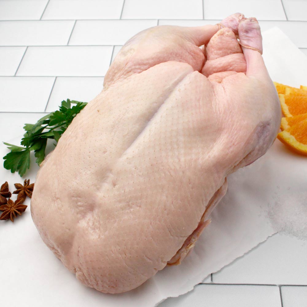 Fresh Ducks