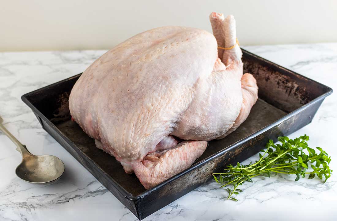 Large Chicken